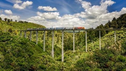 Trans Alpine Train